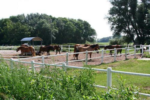 Agroturismo Ferienhof Peter An Der Nordsee