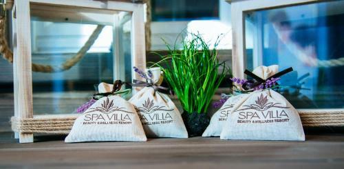 Hotel Spa Villa Beauty & Wellness Resort