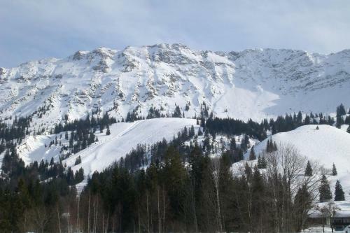 Apartamento Ferienwohnung-wintergerst