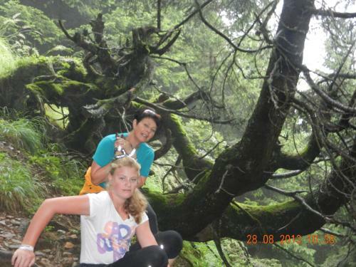 Agroturismo Simonbauerhof