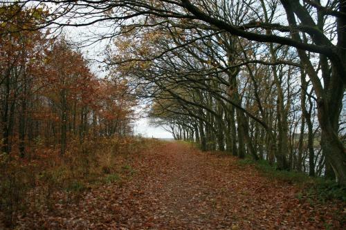 Mejrup Bed & Breakfast