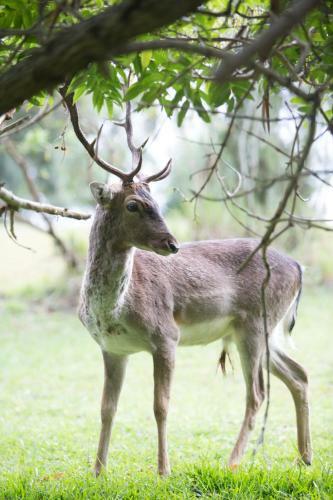 Hotel Areena Riverside Resort & Private Game Reserve