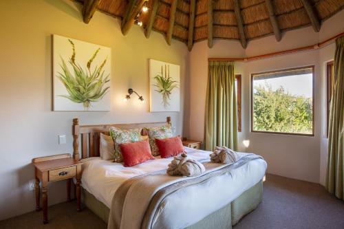 Montusi Mountain Lodge