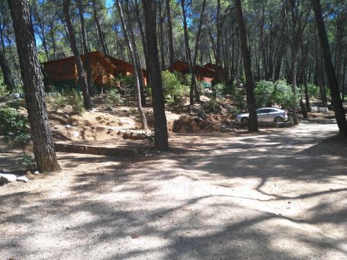 Caba�as El Robledo