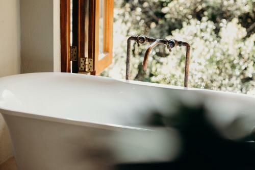 Bukela Game Lodge - Amakhala Game Reserve