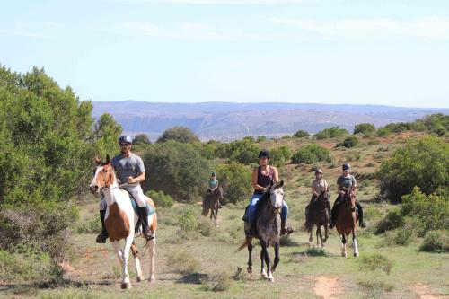 Woodbury Lodge ? Amakhala Game Reserve
