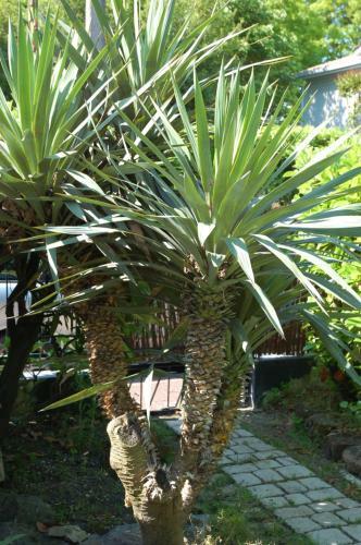 Bed & Breakfast Villa Chaleemar
