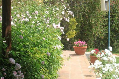 Bed & Breakfast Karoo Lodge