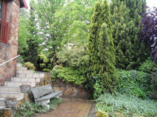 Hostal Fox's Hill Guesthouse