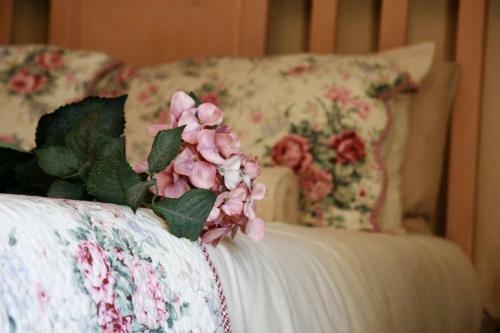 Hostal Fox's Hill Guesthouse
