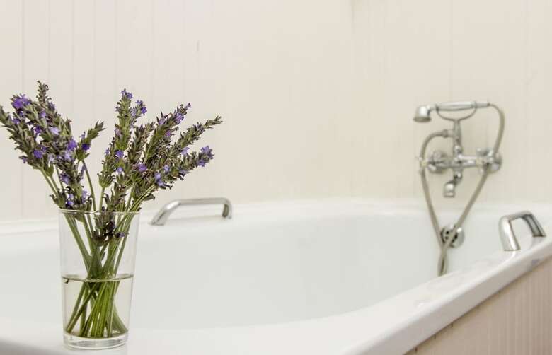 Hostal Albatross Guest House