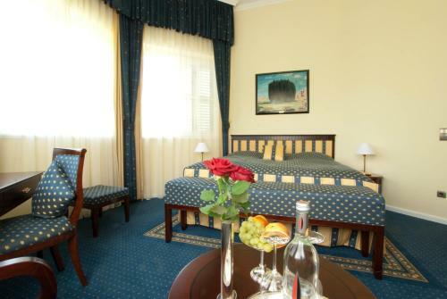 Hotel Ch�teau Visz