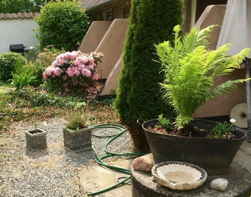Hostal Ellek�r-g�rd