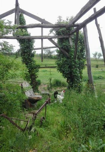 Bed & Breakfast Ferme De Bellevue