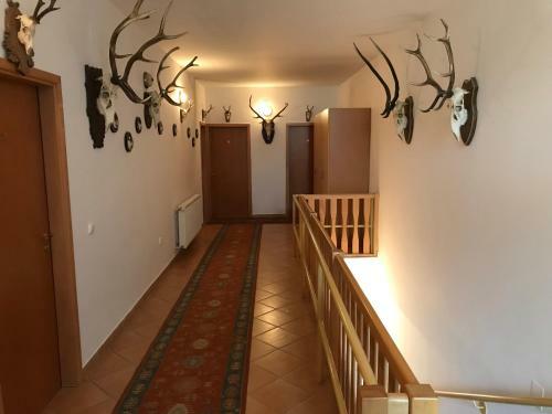 Hostal Silvanus Panzi�