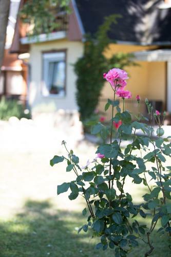 Hotel Z�ta