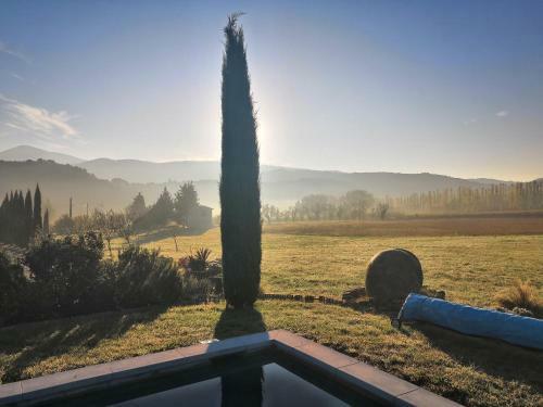 Bed & Breakfast Mas De Longuefeuille