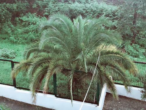 Hostal Guest House Niako