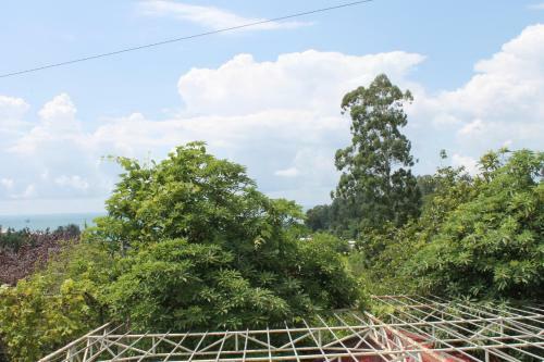 Hostal Guest House Niako