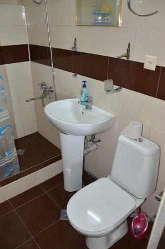 Tj Hostel