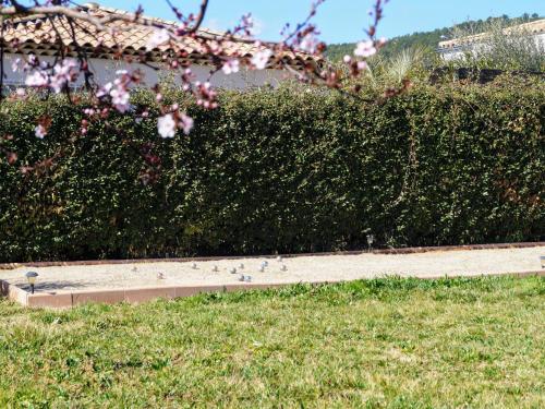 Beautiful Villa With Private Swimming Pool In Pignans