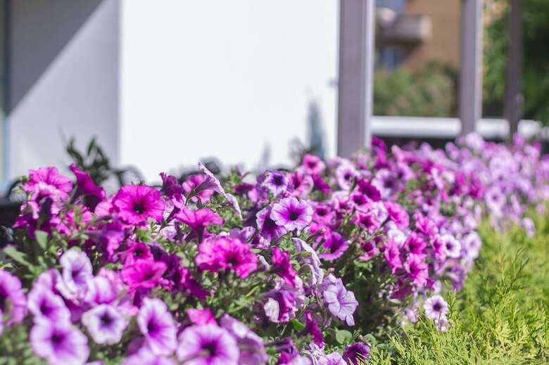 Bellevue Park Hotel Riga