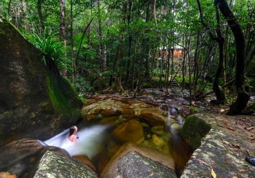 Daintree Cascades