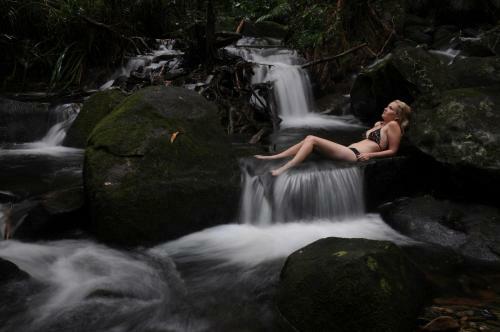 Daintree Cascades