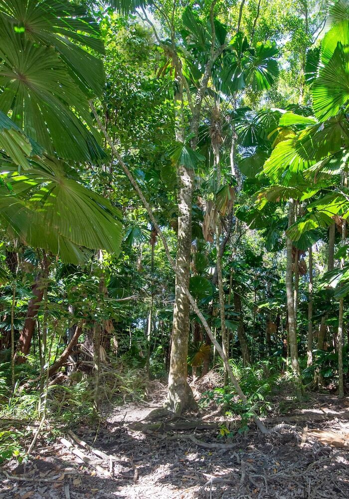 Hotel Cape Trib Beach House