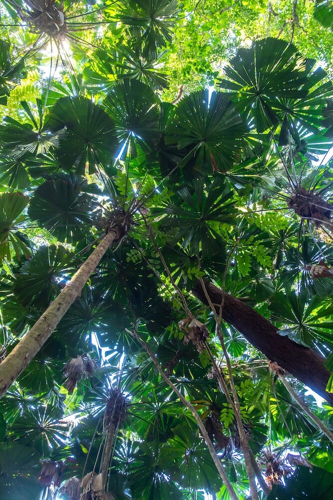 Hotel Cape Trib Beach House
