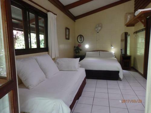 Daintree Deep Forest Lodge