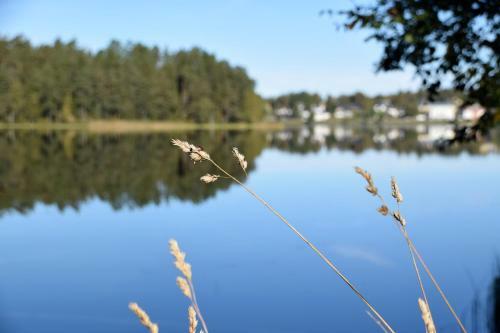 Hostal Mullsj� Folkh�gskola
