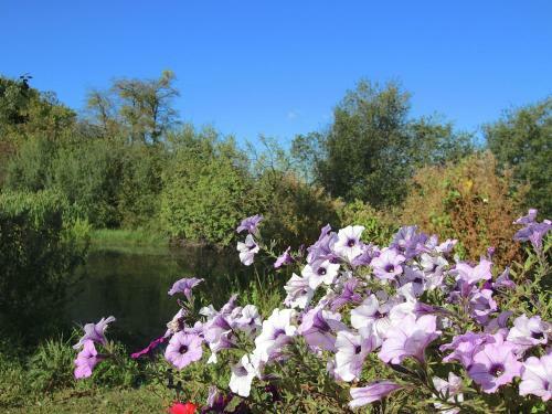 Agroturismo Holiday Home Li Vert Veschau Sohier