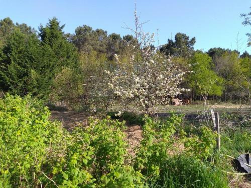 Bed & Breakfast Elevage Du Plec
