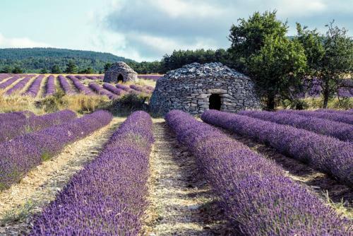 La Bastide De La Loge
