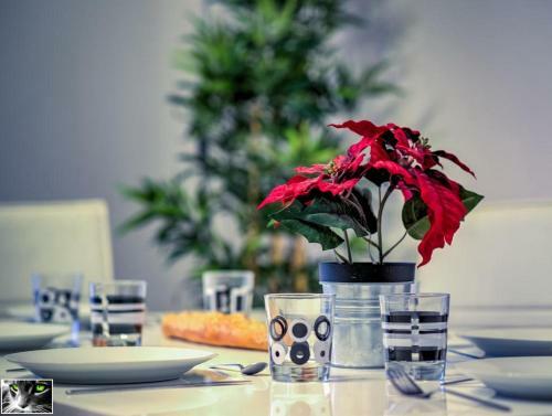 Apartamento Appartement Spacieux Schiltigheim