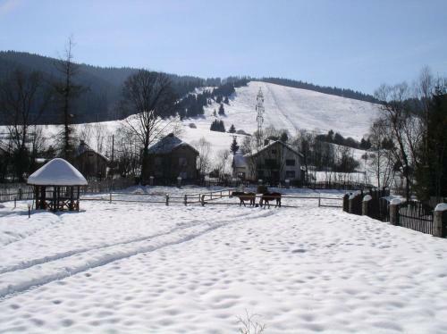 Hostal Penzion Fant�zia Michalov�