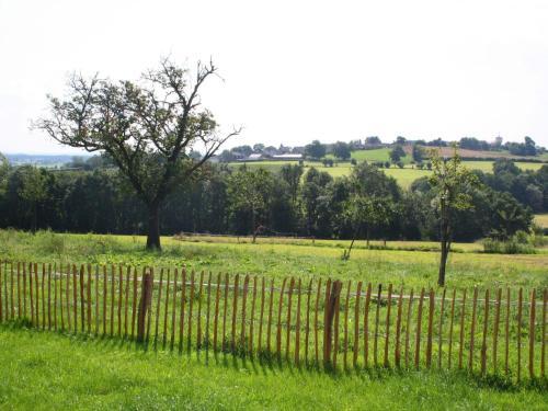 Le Petit Cheval Blanc