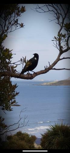 Nugget View Kaka Point Motels