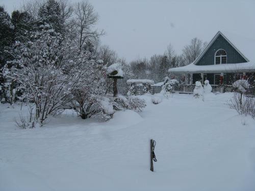 Riverwood Bed & Breakfast