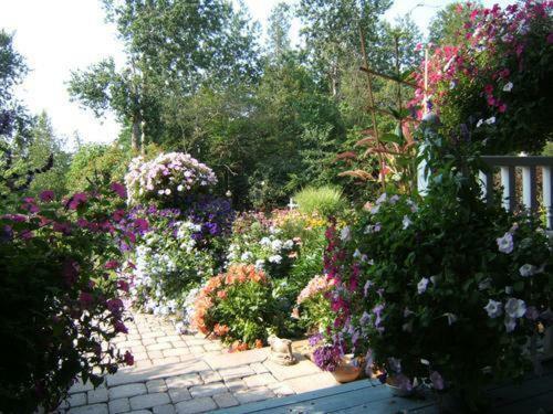 Riverwood Bed & Breakfast