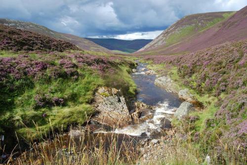 Hostal Craiglea Bed & Breakfast