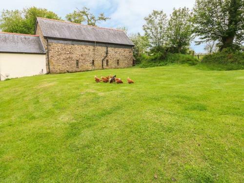 Y Bwthyn, Clynderwen