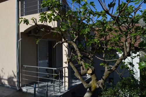 Apartments Coso