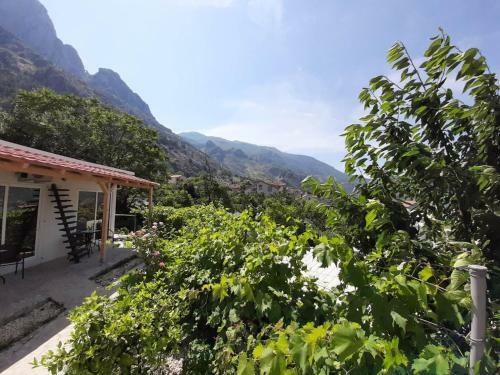 Apartments Dakovic
