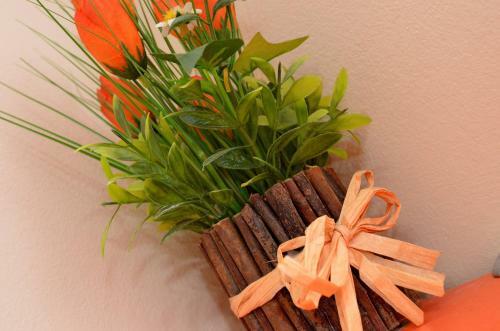 Apartmani Cetkovic