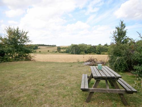 Field View