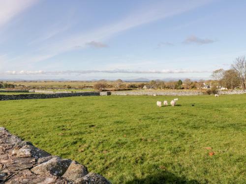 Tyddyn, Dyffryn Ardudwy