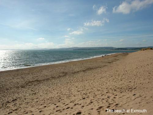 31 Salterton Road, Devon