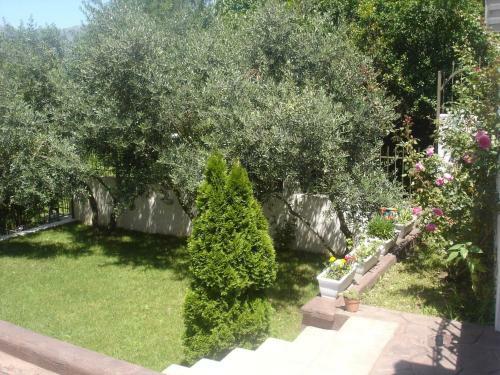 Apartments Popovic 2